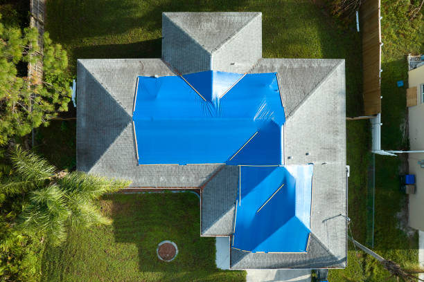 Best Asphalt Shingles Roofing  in Rden, WA
